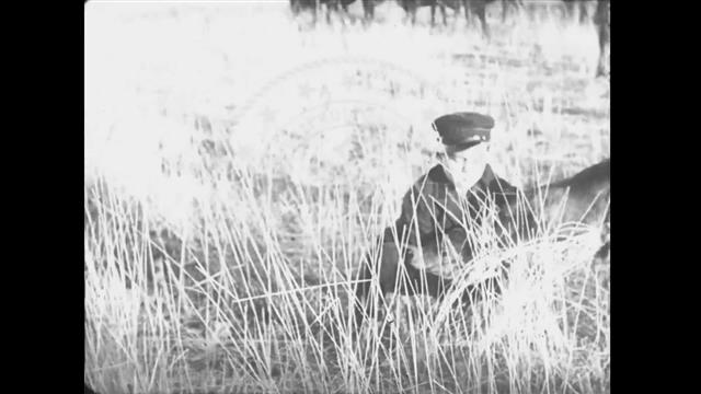 Atatürk Orman Çiftliği'nden Görüntüler