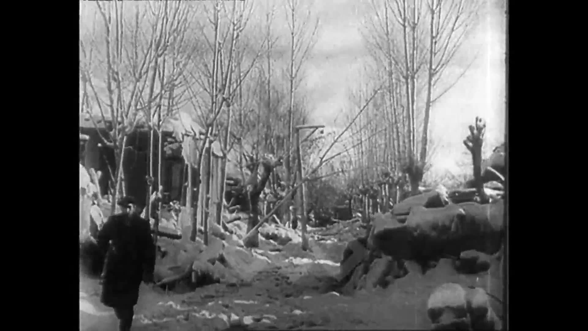 Erzincan Depremi (1939)