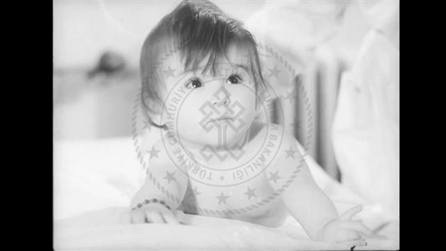 NATO Ülkeleri- The Atlantic Community: Introducing Turkey-02