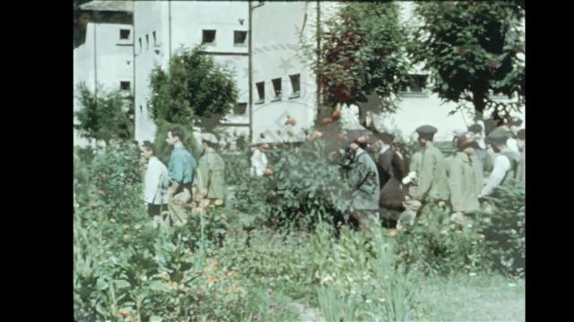 Turkey at Work and at Play